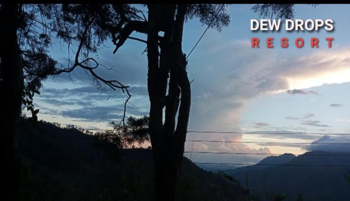 Dew Drop Resort 埃拉 外观 照片