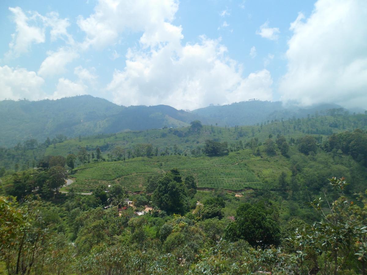 Dew Drop Resort 埃拉 外观 照片